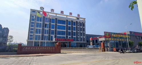 紅星調(diào)查 三家公司中標(biāo)廣西平南學(xué)校食堂食品配送項目后,統(tǒng)一配送的大米被緊急召回