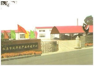 松原市風華農(nóng)產(chǎn)品開發(fā)中心：糧油作物與軟件銷售的創(chuàng)新融合